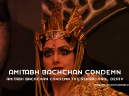 Amitabh Bachchan Condemn The Sensational Death