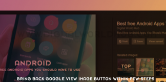 Bring Back Google View Image Button Within Few Steps