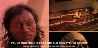Found DNA From 10000 Year Old Skeleton in Britain