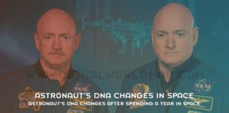 Astronauts DNA Changes After Spending A Year In Space