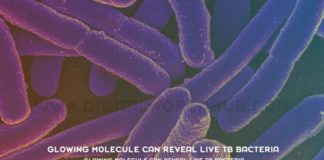 Glowing Molecule Can Reveal Live TB Bacteria