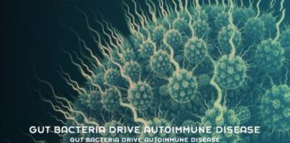 Gut Bacteria Drive Autoimmune Disease