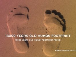 13000 Years Old Human Footprint Found