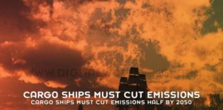 Cargo Ships Must Cut Emissions Half By 2050