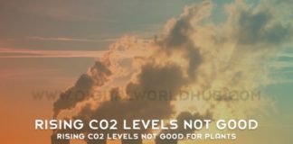 Rising CO2 Levels Not Good For Plants