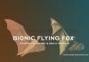 The Bionic Flying Fox Is Really Fantastic