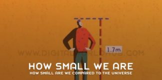 How Small Are We Compared To The Universe