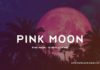Pink Moon Is Really Pink