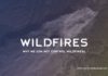 Why-We-Can-Not-Control-Wildfires