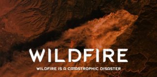 Wildfire-Is-A-Catastrophic-Disaster